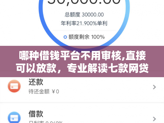 哪种借钱平台不用审核,直接可以放款，专业解读七款网贷和征信黑如何下款