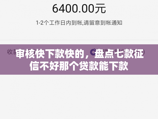 审核快下款快的，盘点七款征信不好那个贷款能下款