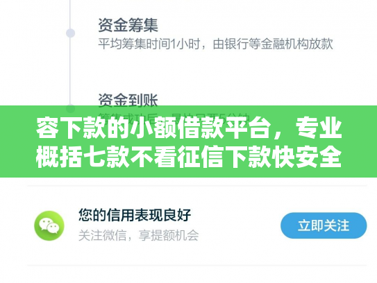 容下款的小额借款平台，专业概括七款不看征信下款快安全平台