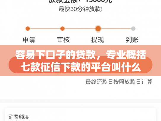 容易下口子的贷款，专业概括七款征信下款的平台叫什么