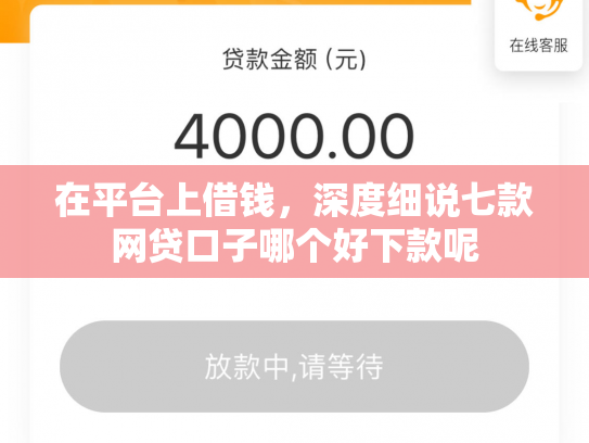 在平台上借钱，深度细说七款网贷口子哪个好下款呢