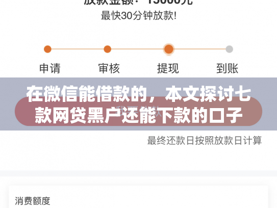 在微信能借款的，本文探讨七款网贷黑户还能下款的口子