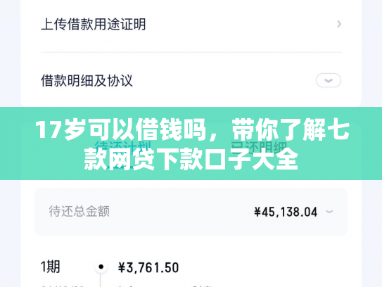 17岁可以借钱吗，带你了解七款网贷下款口子大全