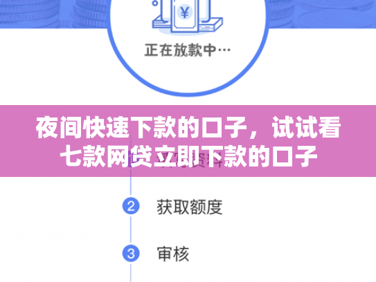 夜间快速下款的口子，试试看七款网贷立即下款的口子