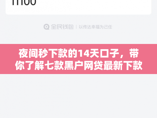 夜间秒下款的14天口子，带你了解七款黑户网贷最新下款口子