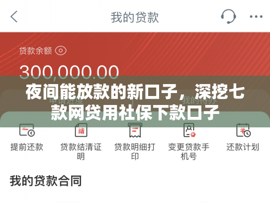 夜间能放款的新口子，深挖七款网贷用社保下款口子