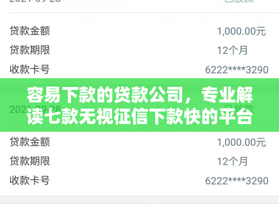 容易下款的贷款公司，专业解读七款无视征信下款快的平台