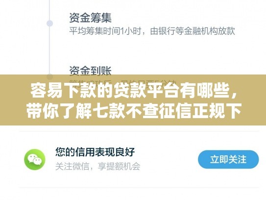容易下款的贷款平台有哪些，带你了解七款不查征信正规下款的平台