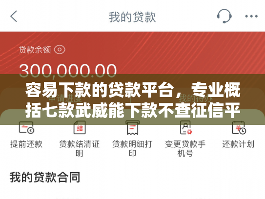 容易下款的贷款平台，专业概括七款武威能下款不查征信平台