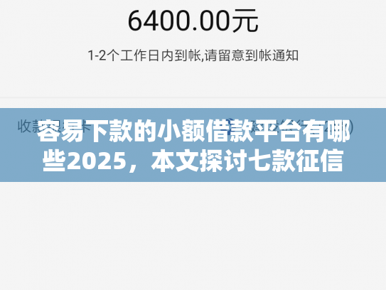 容易下款的小额借款平台有哪些2025，本文探讨七款征信黑户下款平台是什么