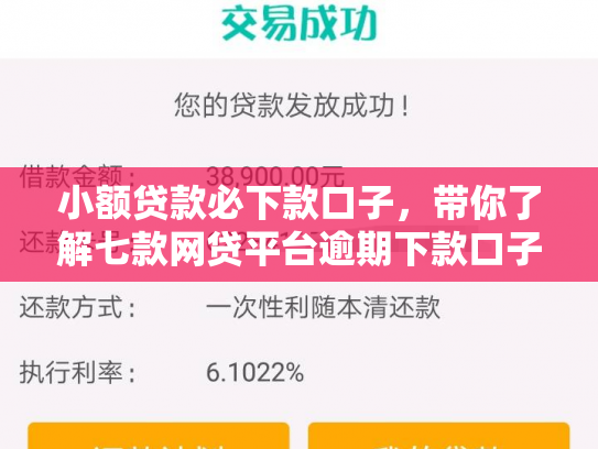 小额贷款必下款口子，带你了解七款网贷平台逾期下款口子