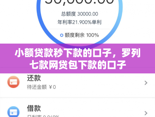 小额贷款秒下款的口子，罗列七款网贷包下款的口子