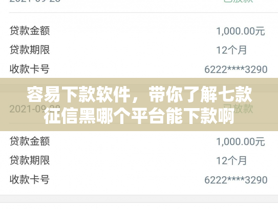 容易下款软件，带你了解七款征信黑哪个平台能下款啊