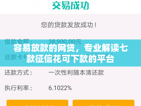 容易放款的网贷，专业解读七款征信花可下款的平台