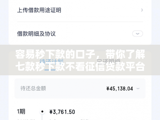 容易秒下款的口子，带你了解七款秒下款不看征信贷款平台