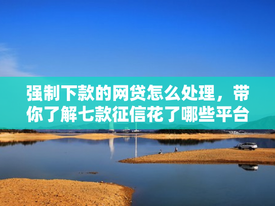 强制下款的网贷怎么处理，带你了解七款征信花了哪些平台能下款