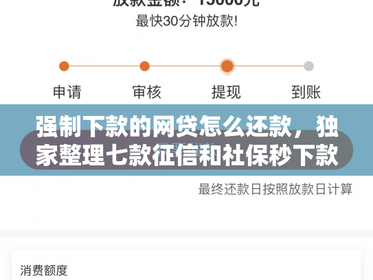 强制下款的网贷怎么还款，独家整理七款征信和社保秒下款平台