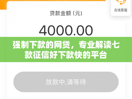 强制下款的网贷，专业解读七款征信好下款快的平台