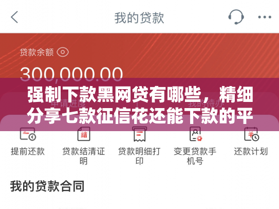 强制下款黑网贷有哪些，精细分享七款征信花还能下款的平台