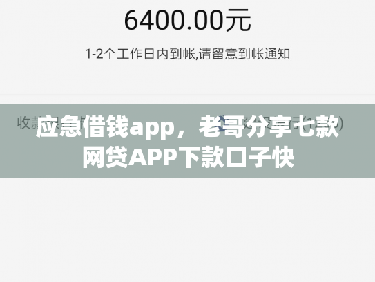 应急借钱app，老哥分享七款网贷APP下款口子快