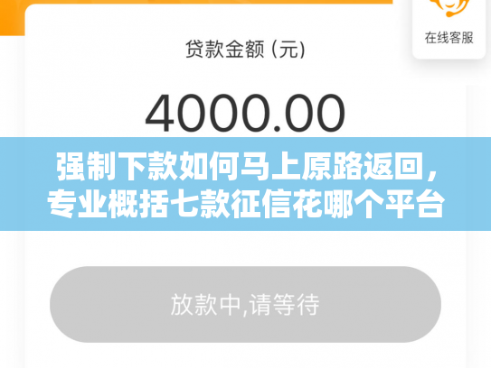 强制下款如何马上原路返回，专业概括七款征信花哪个平台必下款