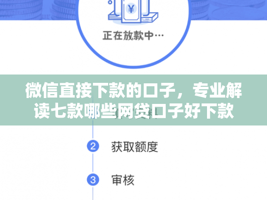微信直接下款的口子，专业解读七款哪些网贷口子好下款