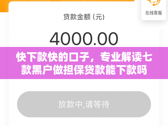 快下款快的口子，专业解读七款黑户做担保贷款能下款吗