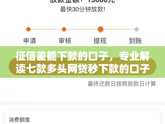 征信差能下款的口子，专业解读七款多头网贷秒下款的口子