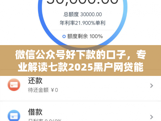 微信公众号好下款的口子，专业解读七款2025黑户网贷能下款的口子