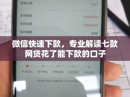 微信快速下款，专业解读七款网贷花了能下款的口子