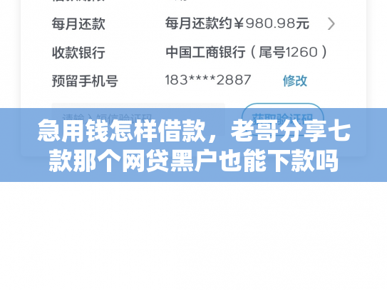 急用钱怎样借款，老哥分享七款那个网贷黑户也能下款吗