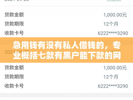 急用钱有没有私人借钱的，专业概括七款有黑户能下款的网贷吗？