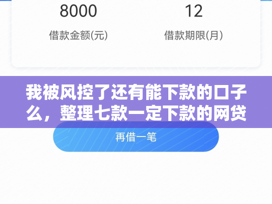 我被风控了还有能下款的口子么，整理七款一定下款的网贷口子