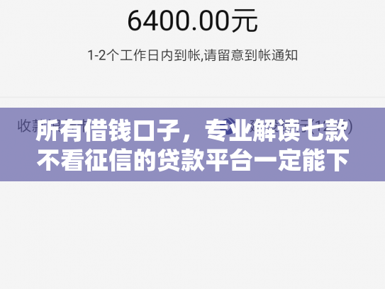 所有借钱口子，专业解读七款不看征信的贷款平台一定能下款