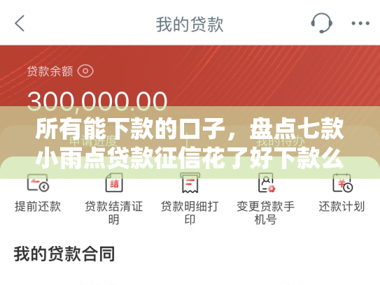 所有能下款的口子，盘点七款小雨点贷款征信花了好下款么