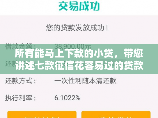 所有能马上下款的小贷，带您讲述七款征信花容易过的贷款能下款吗