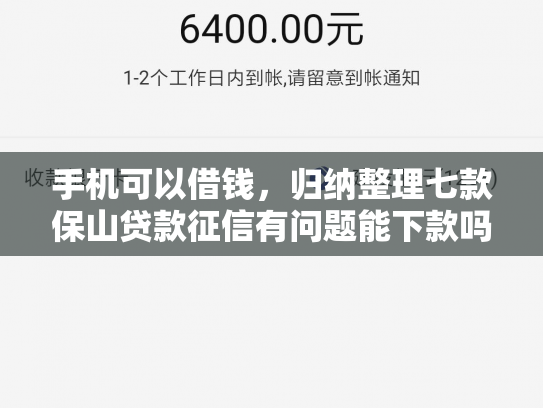 手机可以借钱，归纳整理七款保山贷款征信有问题能下款吗