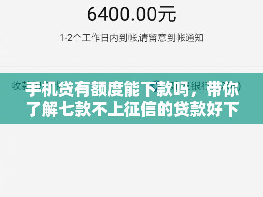 手机贷有额度能下款吗，带你了解七款不上征信的贷款好下款吗
