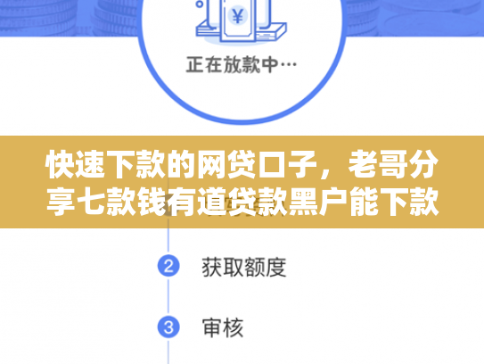 快速下款的网贷口子，老哥分享七款钱有道贷款黑户能下款吗