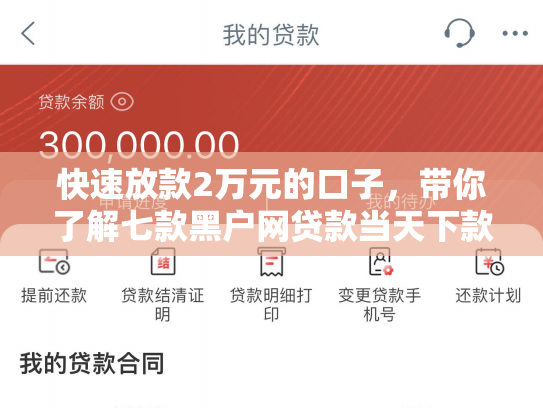 快速放款2万元的口子，带你了解七款黑户网贷款当天下款