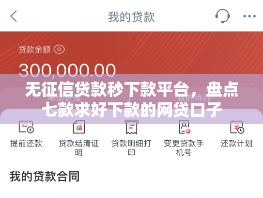 无征信贷款秒下款平台，盘点七款求好下款的网贷口子