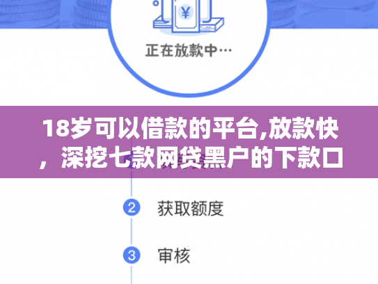 18岁可以借款的平台,放款快，深挖七款网贷黑户的下款口子