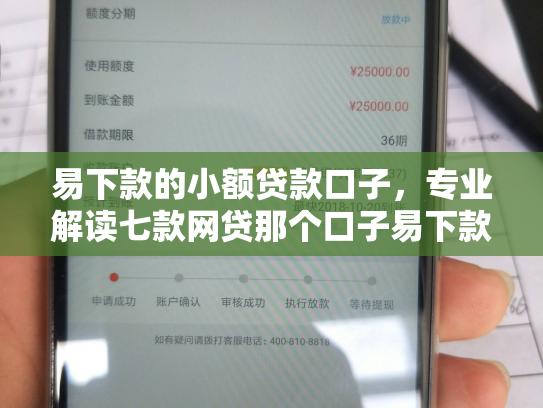 易下款的小额贷款口子，专业解读七款网贷那个口子易下款
