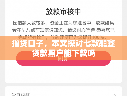 撸贷口子，本文探讨七款融鑫贷款黑户能下款吗