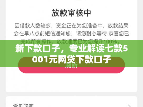 新下款口子，专业解读七款5001元网贷下款口子