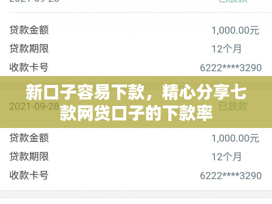 新口子容易下款，精心分享七款网贷口子的下款率
