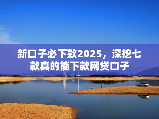 新口子必下款2025，深挖七款真的能下款网贷口子
