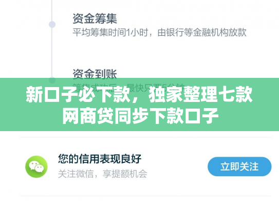 新口子必下款，独家整理七款网商贷同步下款口子