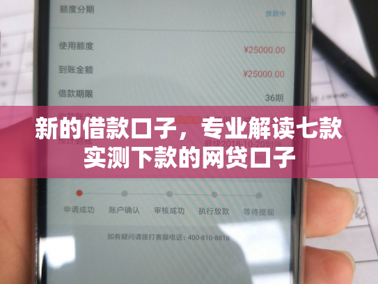 新的借款口子，专业解读七款实测下款的网贷口子
