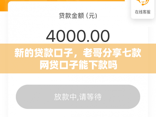 新的贷款口子，老哥分享七款网贷口子能下款吗